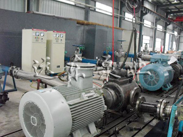 嚴(yán)格檢驗(yàn)標(biāo)準(zhǔn)試驗(yàn) 嚴(yán)格檢驗(yàn)標(biāo)準(zhǔn)試驗(yàn)