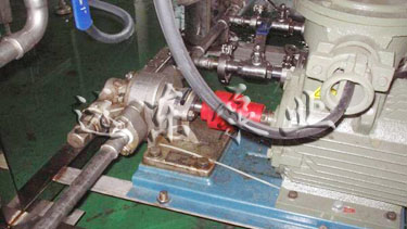 遠(yuǎn)東不銹鋼齒輪泵在藍(lán)月亮現(xiàn)場(chǎng)展示