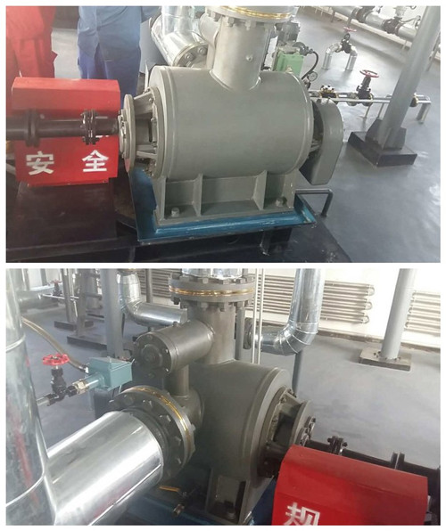 遠(yuǎn)東船用螺桿泵 遠(yuǎn)東船用螺桿泵