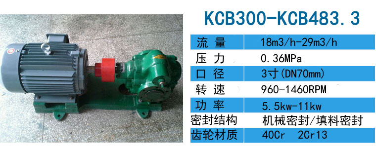 KCB300高溫齒輪泵 KCB300高溫齒輪泵