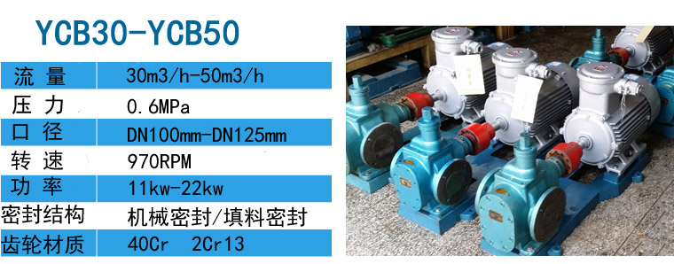 YCB-30圓弧磁力油泵 YCB-30圓弧磁力油泵