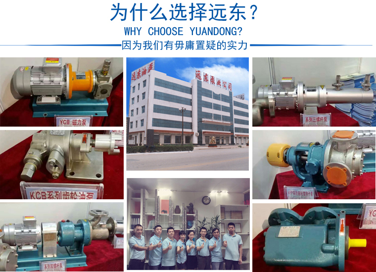 為什么選擇性遠東泵業