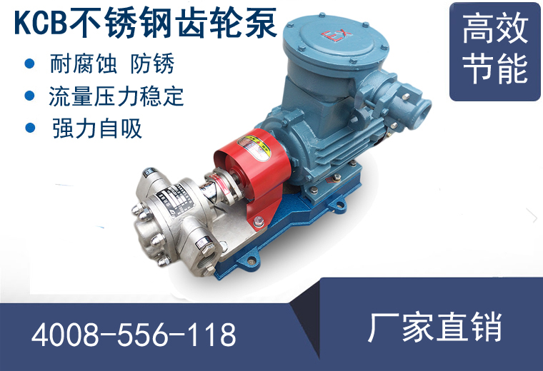 KCB不銹鋼齒輪泵 KCB不銹鋼齒輪泵