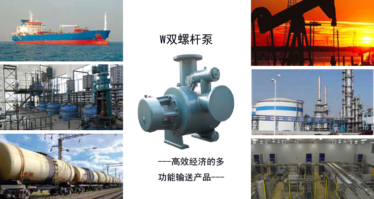 W雙螺桿泵應用