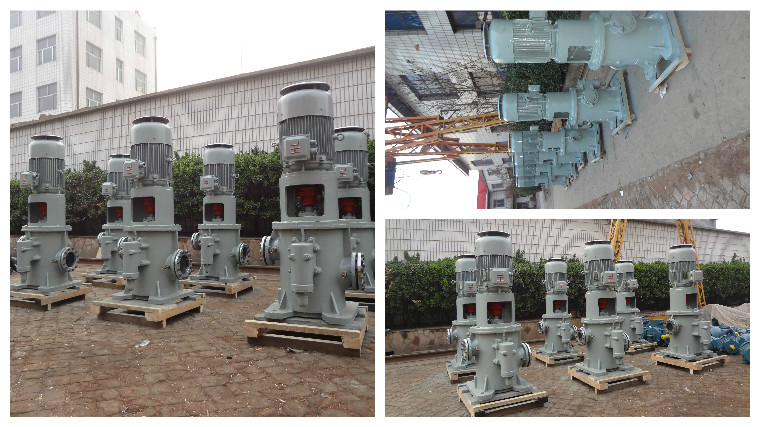 3GCL船用立式螺桿泵