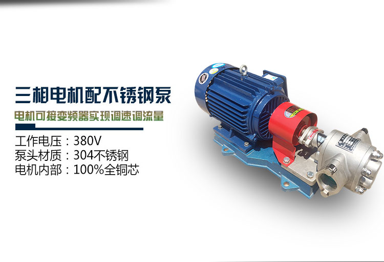 KCB不銹鋼齒輪油泵 KCB不銹鋼齒輪油泵