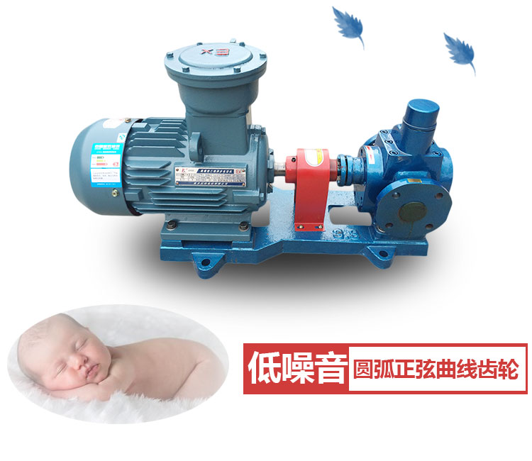 YCB圓弧齒輪泵 YCB圓弧齒輪泵