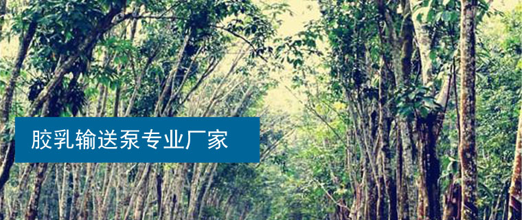 丁苯膠乳輸送泵 丁苯膠乳輸送泵
