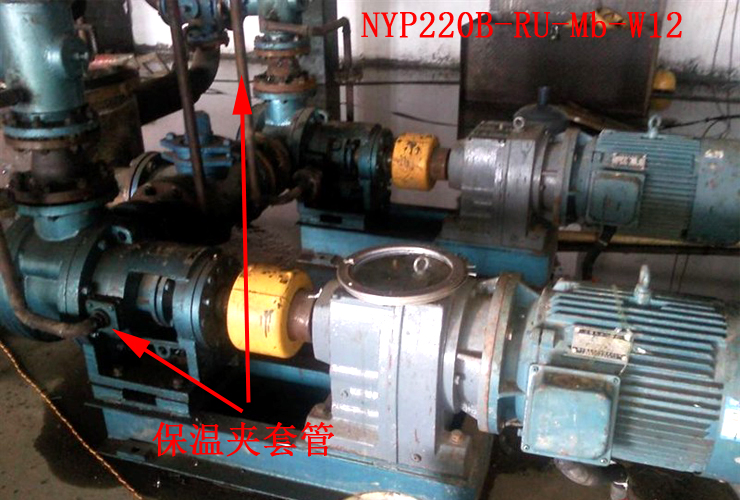 高粘保溫瀝青泵