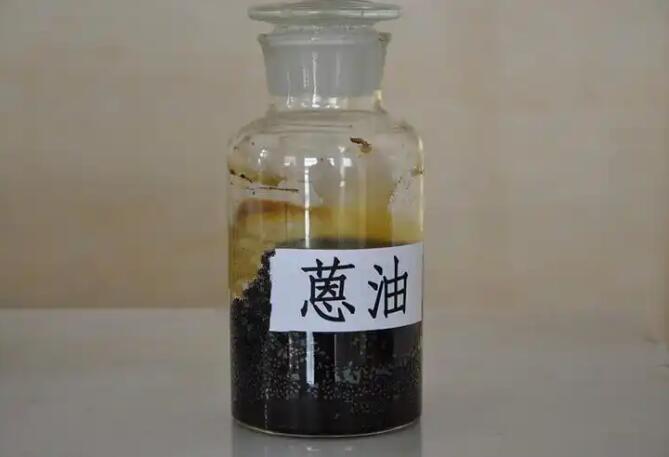 蒽油輸送泵 蒽油輸送泵