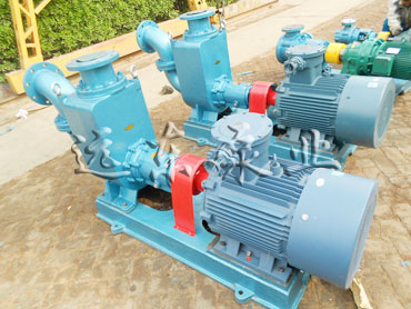 80CYZ-25自吸式離心泵目前發展現狀和未來發展方向