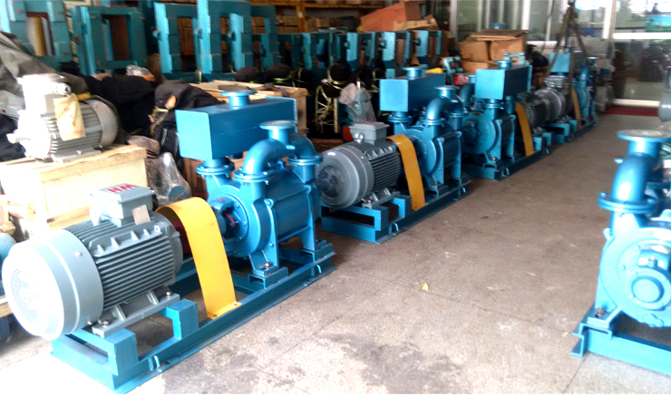 建滔化工集團SK-12水環式真空泵遠東準時交貨給用戶使用