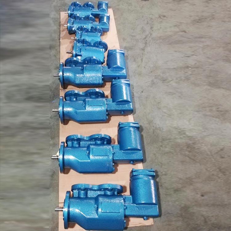 SPF20R46G10FW2螺桿泵配套燃油鍋爐供油泵用自帶過濾器 SPF20R46G10FW2螺桿泵配套燃油鍋爐供油泵用自帶過濾器